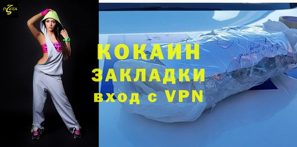 гидра Богданович