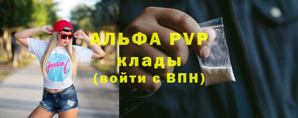 гидра Богданович