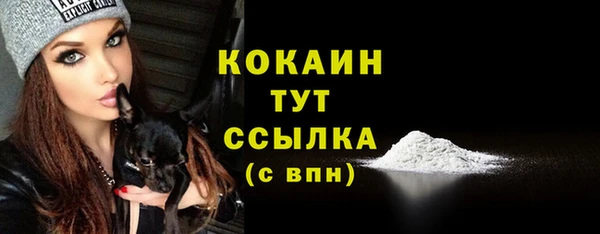 сатива Богородск