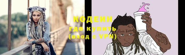 гидра Богданович