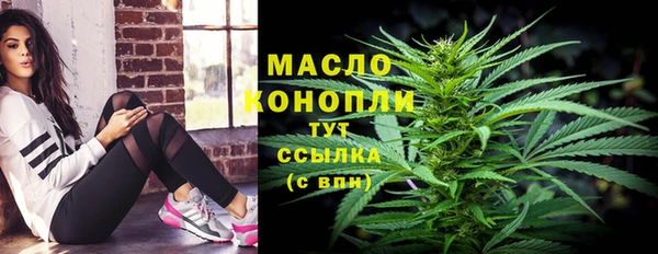 гидра Богданович