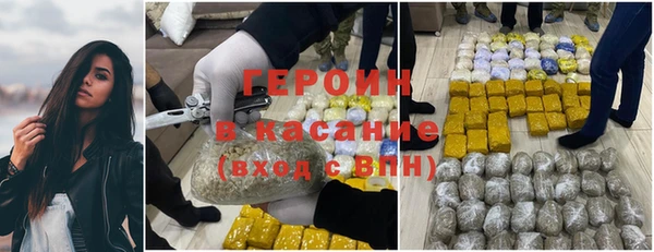 гидра Богданович