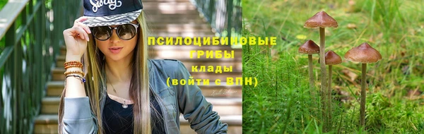 метадон Богородицк